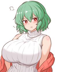  :t alternate_costume bare_shoulders blush breasts cloak commentary_request female green_hair highres huge_breasts kazami_yuuka looking_at_viewer mizusoba pout red_cloak red_eyes short_hair simple_background solo sweatdrop sweater sweater_vest touhou turtleneck turtleneck_sweater upper_body white_background white_sweater_vest 