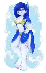  2016 4_toes 5:8 anthro back-tie_bikini back-tie_clothing back-tie_swimwear bikini biped blue_body blue_fur blue_hair blue_nose blue_pawpads breasts canid canine canis chesta claws clothed clothing eyebrows eyelashes feet female finger_claws fur green_eyes hair half-closed_eyes hands_on_hips heart_symbol inner_ear_fluff lightning_bolt_marking looking_at_viewer mammal narrowed_eyes pattern_bikini pattern_clothing pattern_swimwear pawpads rai_(shadowblade945) side-tie_bikini side-tie_clothing side-tie_swimwear simple_background skimpy smile solo standing string_bikini striped_bikini striped_clothing striped_swimwear stripes swimwear toe_claws toes tuft white_body white_claws white_fur wolf 