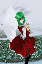  \||/ arm_behind_back ascot black_pantyhose collared_shirt commentary_request feet_out_of_frame female field fingernails flower flower_field fog from_behind green_hair grin hand_up highres kazami_yuuka long_sleeves looking_at_viewer looking_back mountain neck_ribbon outdoors pale_skin pantyhose parasol photoshop_(medium) plaid plaid_skirt plaid_vest red_eyes red_skirt red_vest ribbon river shirt short_hair skirt skirt_set smile solo spathiphyllum standing stream touhou umami_(sakeikura) umbrella umbrella_over_shoulder vest white_flower white_shirt white_umbrella yellow_ascot 