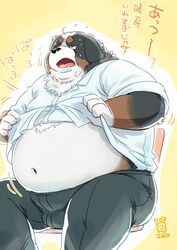  2020 anthro belly bernese_mountain_dog black_body black_fur bodily_fluids bottomwear brown_body brown_fur bulge canid canine canis clothing conoji domestic_dog fur japanese_text kemono male mammal molosser mountain_dog overweight overweight_anthro overweight_male pants shirt sitting solo sweat swiss_mountain_dog text topwear white_body white_fur 