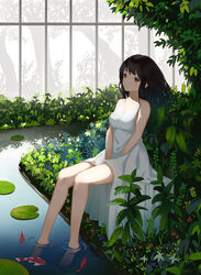  .l.l absurdres animal bare_arms bare_shoulders barefoot between_legs black_hair blush breasts brown_eyes chinese_commentary closed_mouth commentary dress eyebrows_hidden_by_hair female fish full_body hand_between_legs highres indoors koi lily_pad long_hair looking_at_viewer md5_mismatch medium_breasts original plant sitting sleeveless sleeveless_dress soaking_feet solo water white_dress 