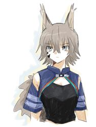  animal_ears arknights ashlock_(arknights) ashlock_(elite_ii)_(arknights) black_shirt blue_eyes breasts cropped_arms cropped_torso crossed_bangs female grey_hair hair_between_eyes material_growth oripathy_lesion_(arknights) shirt short_hair simple_background small_breasts solo squirrel_ears squirrel_girl squirrel_tail tail toto_(t0t00629) upper_body white_background 