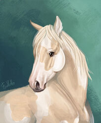  ambiguous_gender brown_eyes digital_media_(artwork) digital_painting_(artwork) equid equine feral fihell hi_res horse looking_away mammal mane markings portrait realistic signature simple_background solo spots spotted_body white_mane 