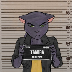  anthro barbie_and_ken_mugshot_meme felid feline female finateh hi_res mammal mugshot pantherine rimba_racer solo tamira_(rimba_racer) upset 