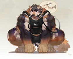  abs absurd_res anthro biceps bogexboog canid canine canis clothing collar crouching domestic_dog english_text fur hi_res leash lifewonders live_a_hero male mammal multicolored_body multicolored_fur muscular muscular_anthro muscular_male pecs shirt smile solo sterio tank_top text topwear 