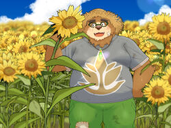  anthro bear belly brown_body brown_fur clothing detailed_background eyewear flower flower_field fur glasses hat headgear headwear hi_res lifewonders male mammal overweight plant solo straw_hat sunflower tokyo_afterschool_summoners volos_(tas) yaki_atsuage 