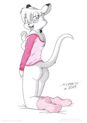  anthro ass bottomless clothed clothing fashion female footwear kangaroo macropod mammal marsupial mia_(tira_shanks) no_underwear socks solo sweater sweatshirt tirashanks_(artist) topwear wallaby 