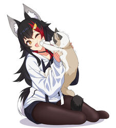  :d absurdres animal animal_ear_fluff animal_ears asanaya black_collar black_hair black_shorts brown_eyes brown_pantyhose collar collarbone commentary_request drawstring feline female full_body hair_between_eyes hair_ornament highres holding holding_animal hololive hood hood_down hoodie long_hair multicolored_hair no_shoes official_alternate_costume one_eye_closed ookami_mio ookami_mio_(casual) open_mouth pantyhose pantyhose_under_shorts red_hair shadow short_shorts shorts smile solo streaked_hair taiga_(ookami_mio) tail tail_around_own_leg tail_wrap trembling very_long_hair virtual_youtuber white_background white_hoodie wolf_ears wolf_girl wolf_tail 