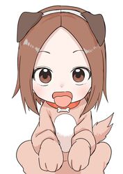  absurdres animal_collar animal_costume animal_ears brown_eyes brown_hair cartoon_bone collar dog_costume dog_ears fake_animal_ears female forehead highres inaba_mifumi karakai_jouzu_no_(moto)_takagi-san karakai_jouzu_no_takagi-san lolicon looking_at_viewer nishikata_chii open_mouth parted_hair red_collar short_hair simple_background solo tongue tongue_out white_background 