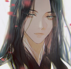  black_hair blurry expressionless eyes_visible_through_hair female gradient_eyes haban_(haban35) highres korean_commentary long_eyelashes long_hair looking_at_viewer multicolored_eyes petals portrait return_of_the_mount_hua_sect simple_background twitter_username white_background yu_iseol_(return_of_the_mount_hua_sect) 