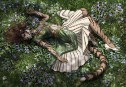  anthro clothed clothing digital_media_(artwork) dress felid female flower footwear grass hair khajiit lying mammal microsoft on_ground plant shoes solo techiesxc the_elder_scrolls 