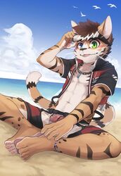  abs anthro beach blue_eyes bottletanuki bottomwear brown_hair chain_necklace clothed clothing cloud digital_media_(artwork) domestic_cat exposed_chest eyewear eyewear_on_head feet felid feline felis fur goggles goggles_on_head green_eyes hachi_akiya hair heterochromia hi_res horizon jacket jewelry looking_at_viewer male male_anthro mammal navel neck_chain necklace open_clothing open_topwear outside sand sea seaside shorts sitting sitting_on_ground sky solo striped_body striped_fur stripes tan_body tan_fur teeth_showing tongue tongue_out topwear translucent translucent_bottomwear translucent_clothing translucent_shorts underwear vtuber water whiskers 