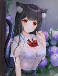  animal_ears black_hair black_skirt blurry blurry_background blush bow bowtie bra bra_visible_through_clothes breasts cat_ears cat_girl cat_tail collared_shirt commentary_request depth_of_field dress_shirt female flower hand_up highres hydrangea katsushika_pachi long_hair looking_at_viewer medium_breasts original parted_lips pleated_skirt purple_bra purple_flower rain red_bow red_bowtie red_eyes shirt skirt solo tail underwear very_long_hair wet wet_clothes wet_hair wet_shirt white_shirt 