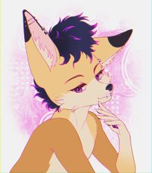  abstract_background anthro barbell_piercing big_ears black_hair black_nose bust_portrait canid canine cheek_tuft circular_barbell_piercing claws dipstick_ears dubsthefox ear_markings ear_piercing ear_ring eyelashes facial_piercing facial_tuft femboy fennec_fox fox fur gauged_ear hair hi_res industrial_piercing inner_ear_fluff male mammal multicolored_ears multicolored_hair multiple_piercings narrowed_eyes nose_piercing orange_body orange_fur pawpads piercing portrait purple_eyes purple_hair purple_pawpads ring_piercing septum_circular_barbell septum_piercing solo sonyan tan_inner_ear_fluff true_fox tuft two_tone_hair white_claws 