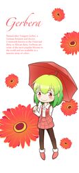  bad_id bad_pixiv_id busou-toybox female flower gerbera green_hair highres kazami_yuuka pantyhose plaid plaid_skirt plaid_vest red_eyes skirt solo touhou umbrella vest 