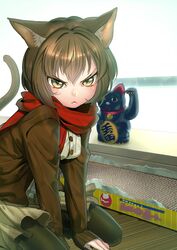  angry animal_ears bad_id bad_pixiv_id black_legwear blush brown_hair cat_ears cat_tail female frown highres koyoi_mitsuki koyuki_(koyuki_no_okotte_nado_inai!!) koyuki_no_okotte_nado_inai!! maneki-neko pantyhose personification scarf short_hair slit_pupils tail tsurime yellow_eyes 