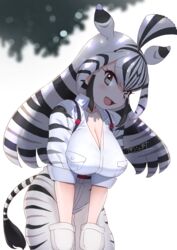  absurdres animal_ears animal_print black_hair blush breasts chapman&#039;s_zebra_(kemono_friends) cleavage extra_ears female highres kemono_friends kemono_friends_3 large_breasts long_hair long_sleeves looking_at_viewer masuyama_ryou multicolored_hair open_mouth shirt shorts smile solo striped_hair tail two-tone_hair white_hair zebra_ears zebra_girl zebra_print zebra_tail 