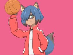  2020 4:3 anthro ball basketball_(ball) black_body black_fur black_hair blue_body blue_eyes blue_fur blue_hair brand_new_animal brown_body brown_fur canid canine clothed clothing female fluffy fluffy_tail fully_clothed fur hair half-length_portrait hand_in_pocket hi_res holding_object jacket looking_at_viewer mammal michiru_kagemori multicolored_body multicolored_eyes multicolored_fur multicolored_hair open_clothing open_jacket open_topwear pink_background pink_eyes pockets portrait raccoon_dog short_hair simple_background smile solo studio_trigger tail tanuki topwear yuia 