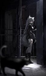  animal_ears arknights black_cat black_footwear black_jacket black_shorts blurry blurry_foreground boots closed_mouth feline female full_body grey_eyes grey_hair hair_between_eyes hair_ornament hairclip high_heel_boots high_heels highres indoors jacket kuuus lappland_(arknights) light_particles long_hair looking_at_viewer material_growth motion_blur oripathy_lesion_(arknights) shorts sideways_glance solo tail wolf_ears wolf_girl wolf_tail 