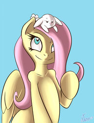  2015 angel_(mlp) annoyed atane27 digital_media_(artwork) duo equid equine feathered_wings feathers female feral fluttershy_(mlp) friendship_is_magic hasbro lagomorph leporid male mammal my_little_pony mythological_creature mythological_equine mythology pegasus rabbit shaded smile wings yellow_body yellow_feathers 