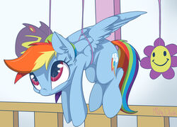  2016 cutie_mark equid equine feathered_wings feathers female feral friendship_is_magic hair hasbro hi_res mammal mistydash multicolored_hair multicolored_tail my_little_pony mythological_creature mythological_equine mythology pegasus rainbow_dash_(mlp) rainbow_hair rainbow_tail solo source_request tail wings 