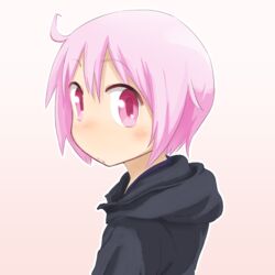  ahoge blush commentary_request female hood hooded_sweater jacket looking_at_viewer nonohara_yuzuko pink_eyes pink_hair short_hair simple_background solo sweater tareme uasi upper_body white_background yuyushiki 