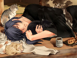  animal black_hair drink feline hakuouki_shinsengumi_kitan hug long_hair male ponytail robinson saitou_hajime shade sleeping 