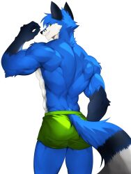  2024 3:4 absurd_res anthro back_muscles barazoku big_muscles biped blue_body blue_fur canid canine fox fur green_eyes hi_res looking_at_viewer male mammal muscular muscular_anthro muscular_male shirtless_anthro shirtless_male solo thunderkung white_body white_fur 