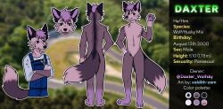  absurd_res anthro canid canine canis character_name character_stats color_swatch daxter_wolfsky_(d4xt3r) hi_res hybrid male mammal model_sheet name_tag reference_image solo stats valdith_zam wolfdog 