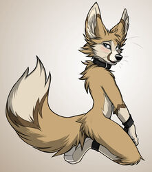  anthro avoid_posting black_nose blue_eyes blush bracelet brown_body brown_fur brown_markings canid canine collar fennec_fox fluffy fluffy_tail fox fur jewelry keihound kneeling looking_back male mammal markings nude simple_background sitting solo tail tan_body tan_fur true_fox white_background 