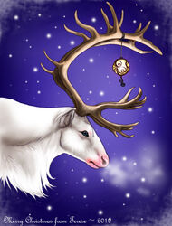  2010 antlers blue_background blue_eyes brown_antlers christmas deer denoyelle feral fur holidays horn male mammal new_world_deer night ornament outside pink_nose reindeer simple_background snow snowing solo white_body white_fur 