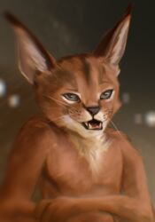  anthro big_ears black_nose blurred_background brown_body brown_fur chest_tuft crossed_arms fangs felid feline fur grey_eyes hi_res looking_at_viewer lynx male mammal open_mouth patreon_artist patreon_username pink_tongue slim slim_male smile solo stampmats teeth tongue tuft whiskers 