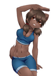  anthro brown_body brown_eyes brown_fur brown_hair canid canine canis domestic_dog female fur grin hair kemono mammal ruri_tsubame smile solo 